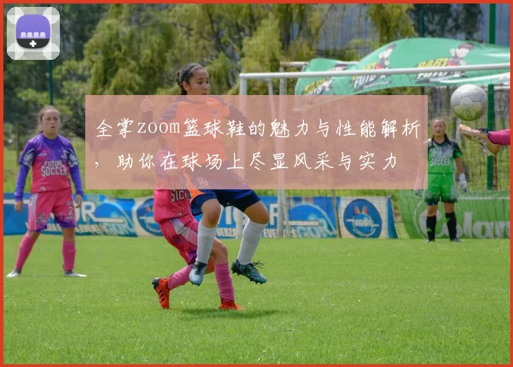 全掌zoom篮球鞋的魅力与性能解析，助你在球场上尽显风采与实力