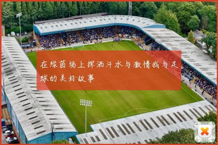 在绿茵场上挥洒汗水与激情我与足球的美好故事