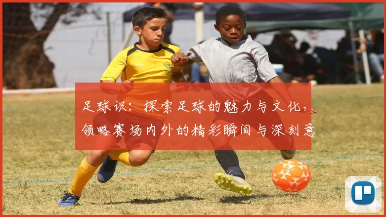 足球识：探索足球的魅力与文化，领略赛场内外的精彩瞬间与深刻意义