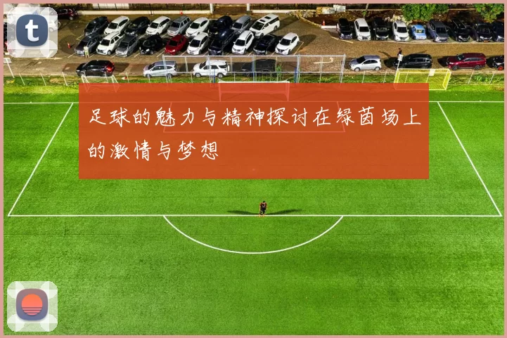 足球的魅力与精神探讨在绿茵场上的激情与梦想
