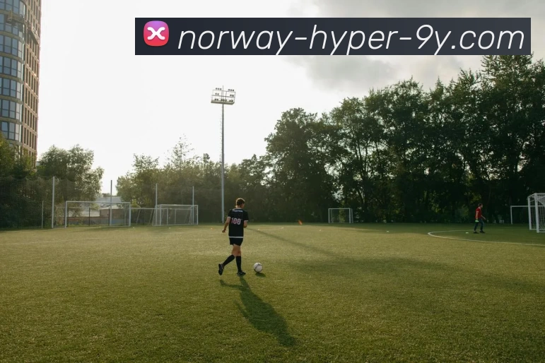 九游体育服务体系